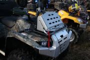   Yamaha Grizzly (light)